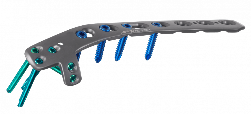 Humerus-distal-dorsolateral-support_AF-Medical_061-1